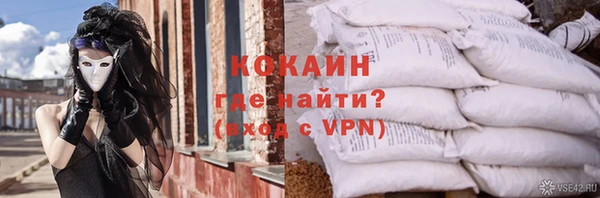 дживик Абаза