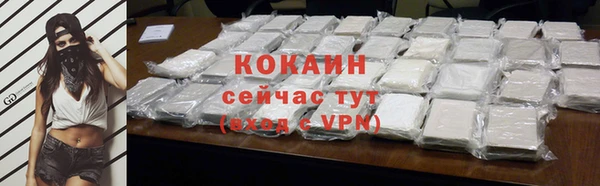 дживик Абаза
