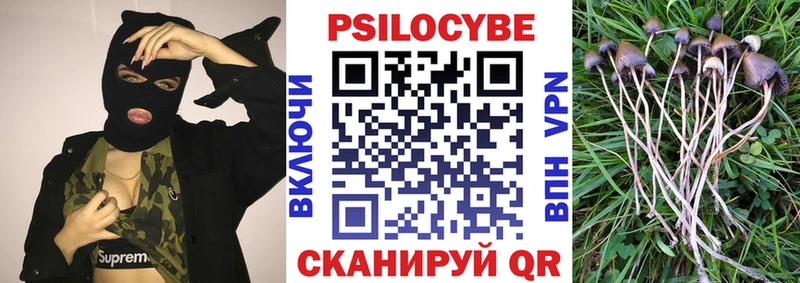 Псилоцибиновые грибы прущие грибы  Катайск 